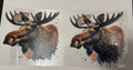 Moose
