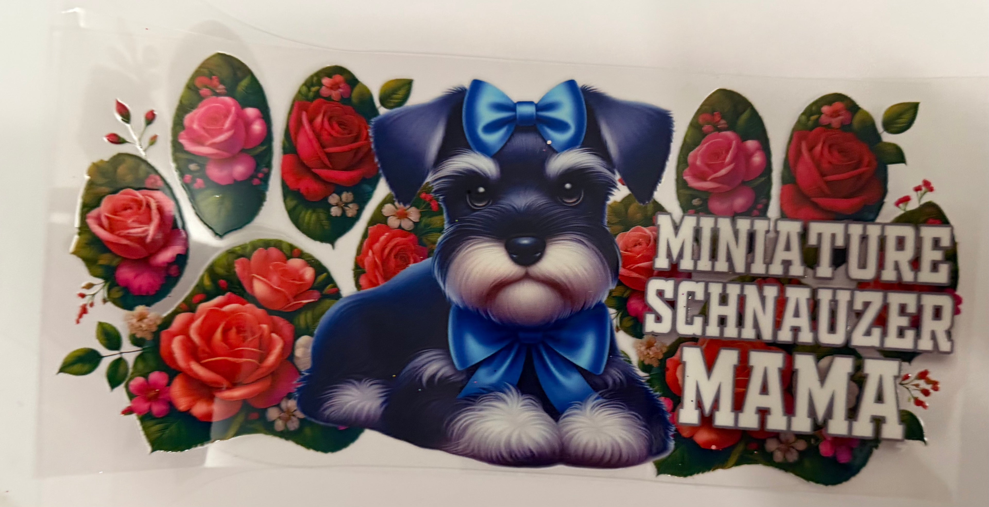 Miniature Schnauzer Mama ￼