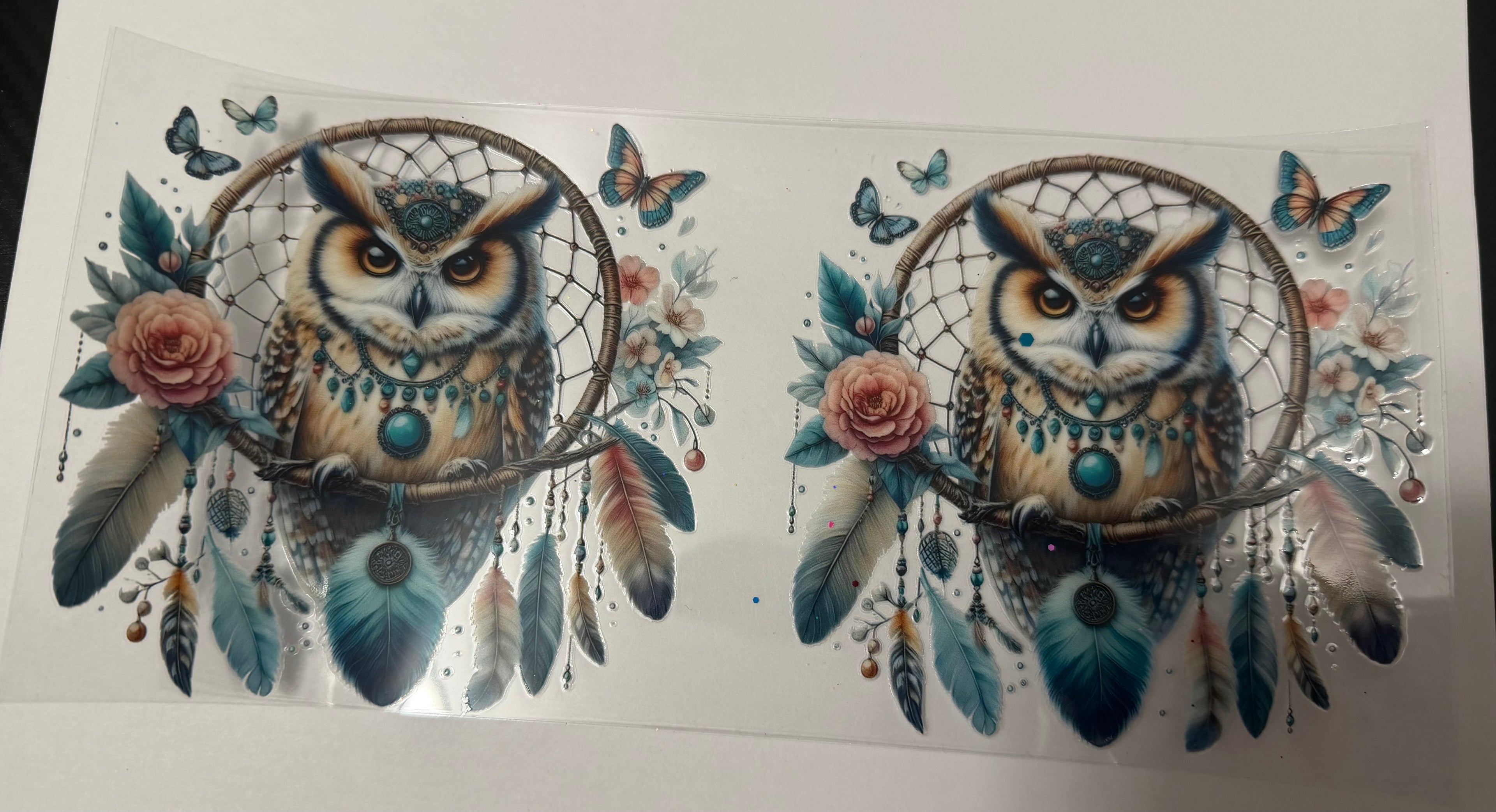 Owls