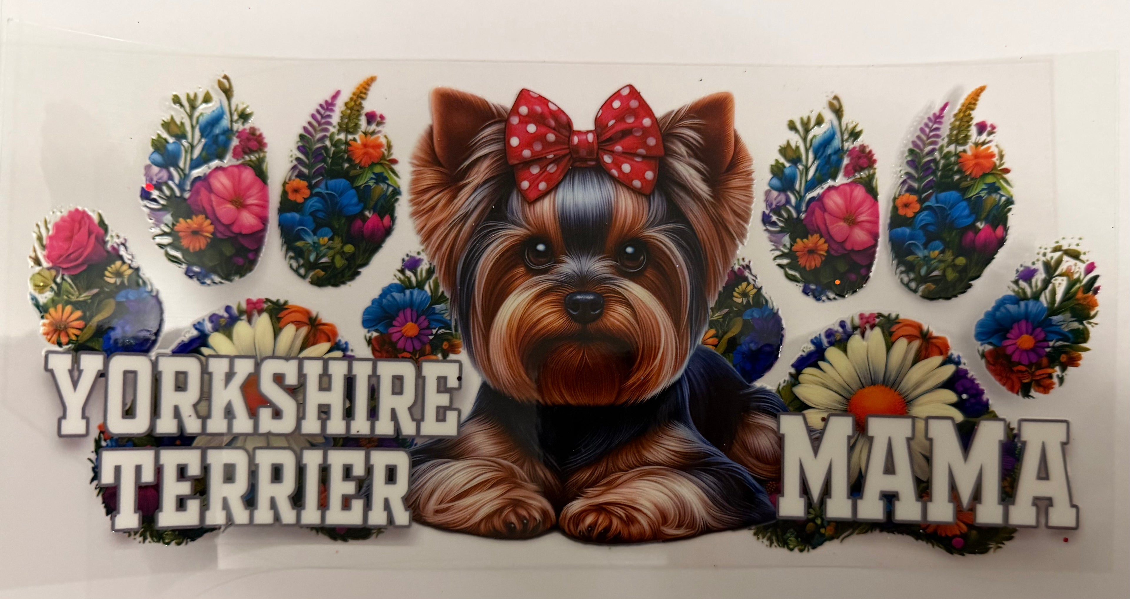Yorkshire Terrier Mama