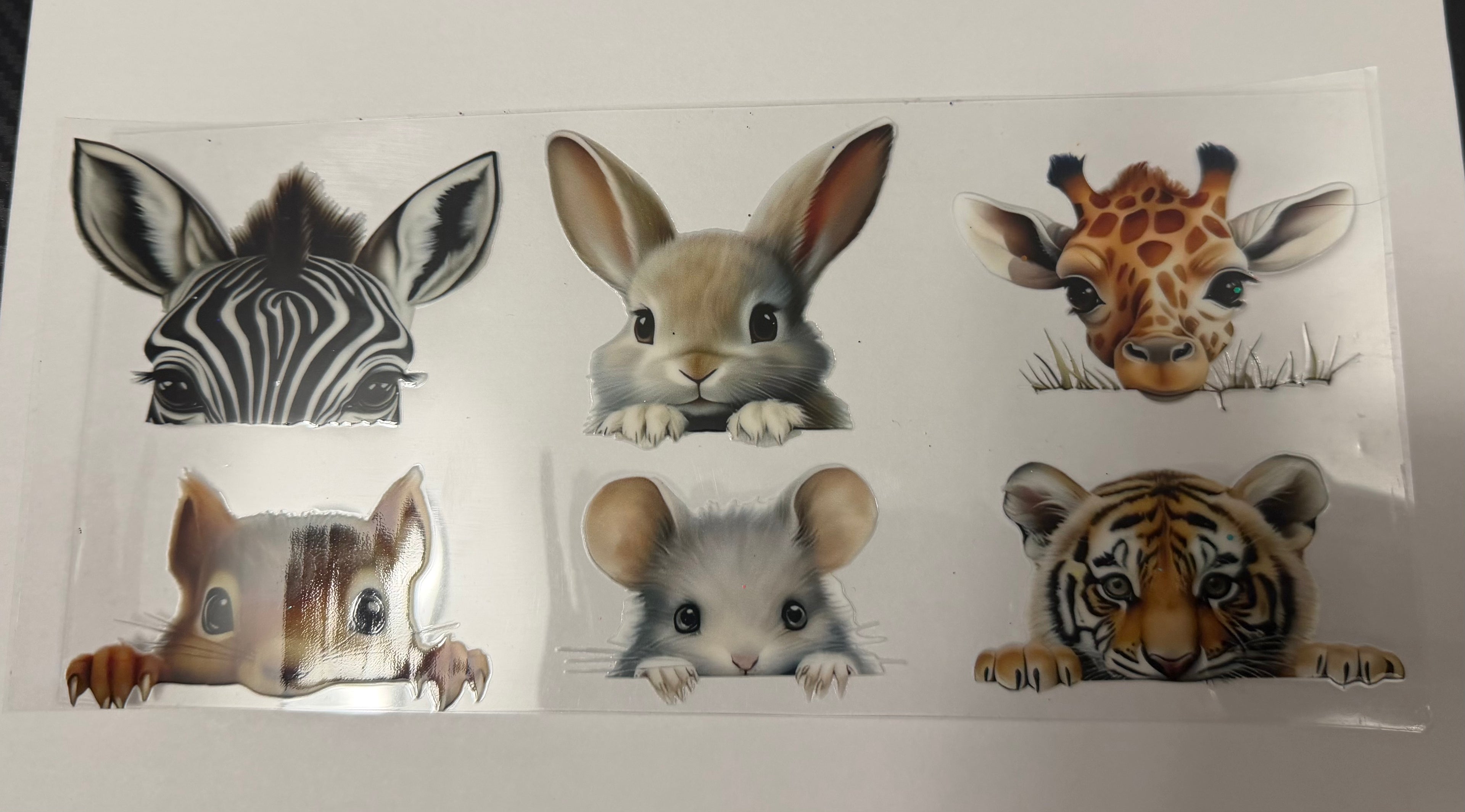 Animas