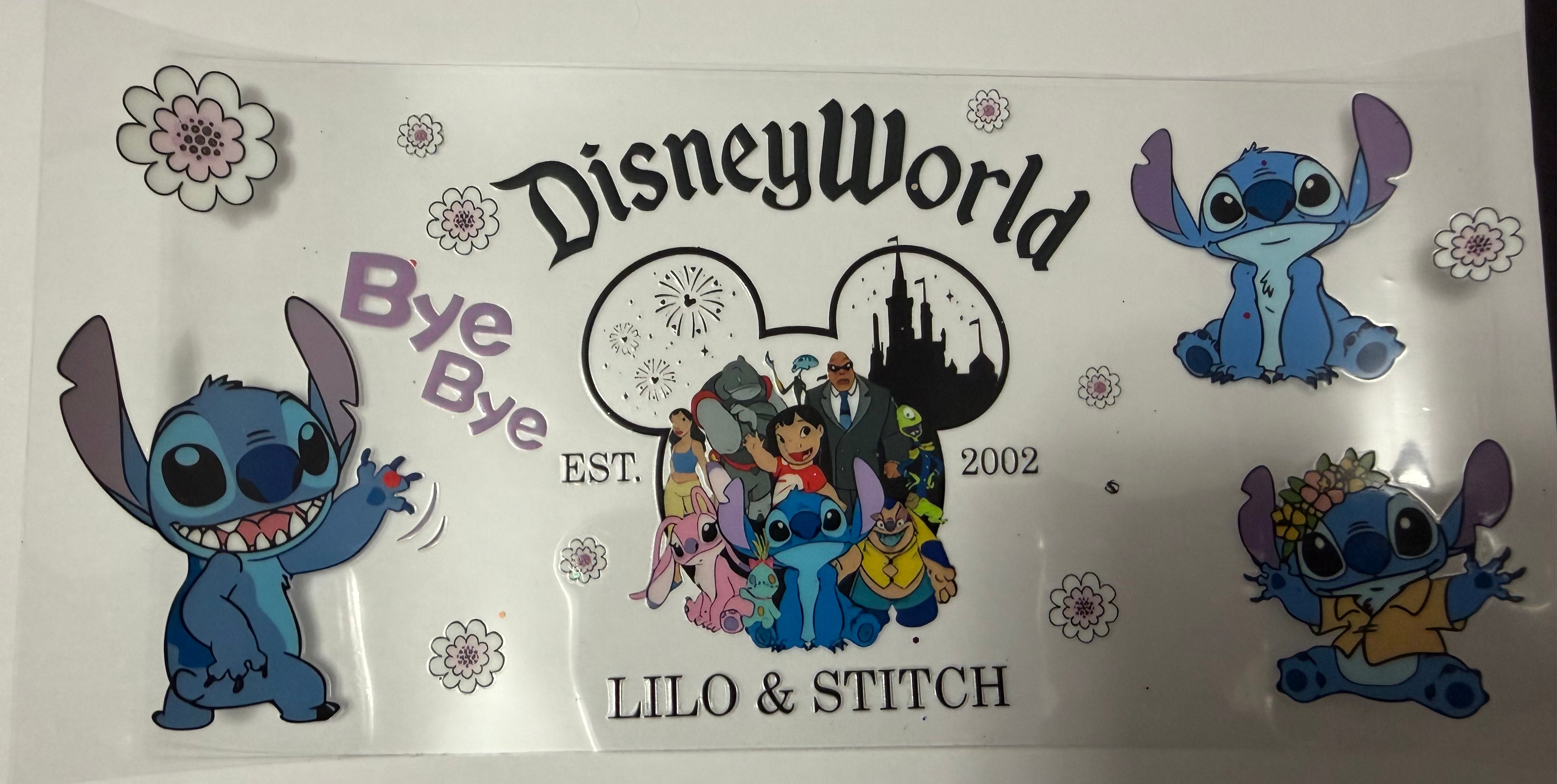 Disney world