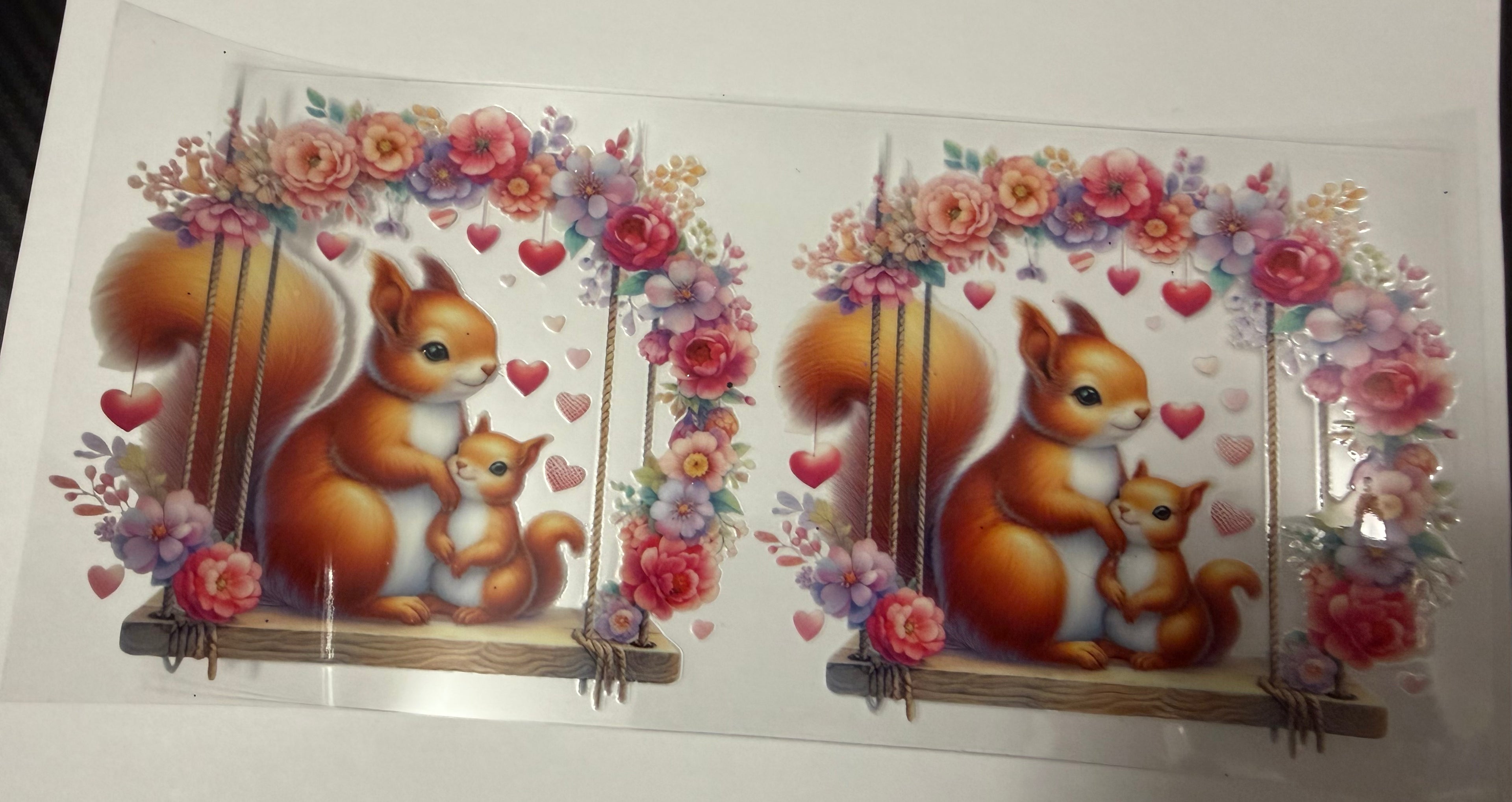Squirrels ￼